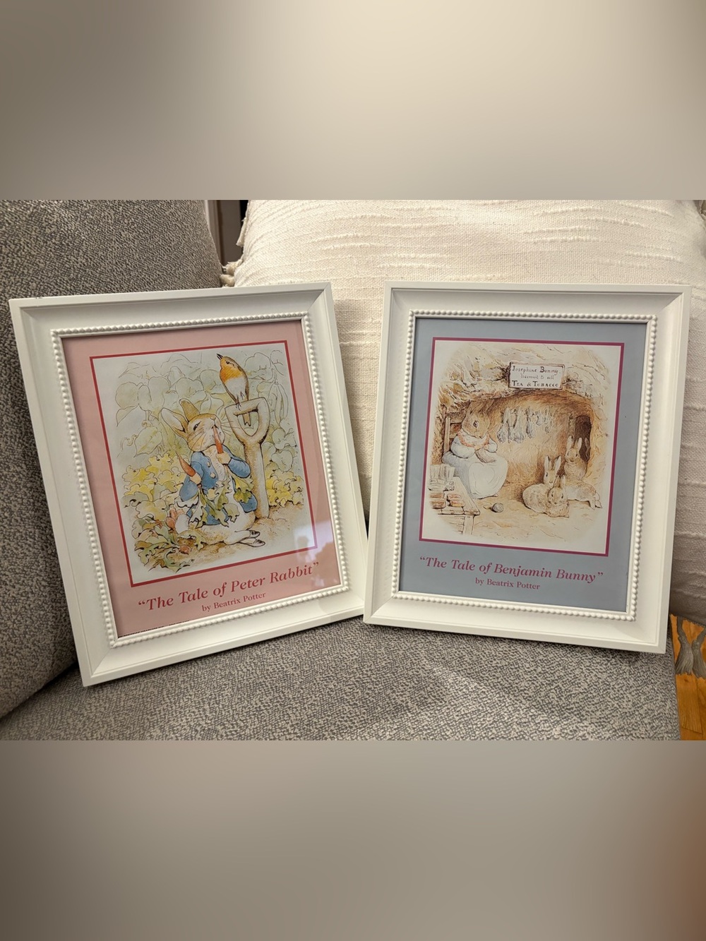 Beatrix Potter Peter Rabbit Framed Prints 🐰